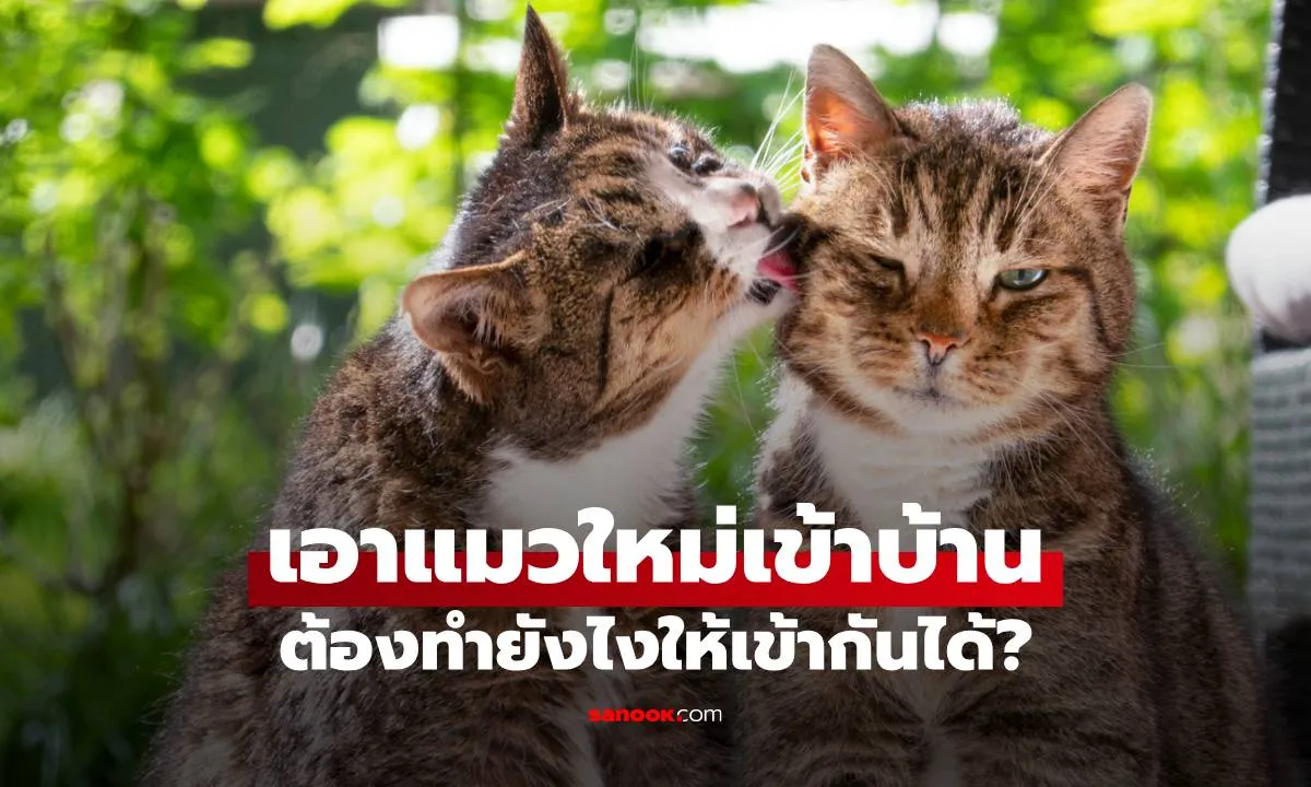 Post by Max อนุชา
