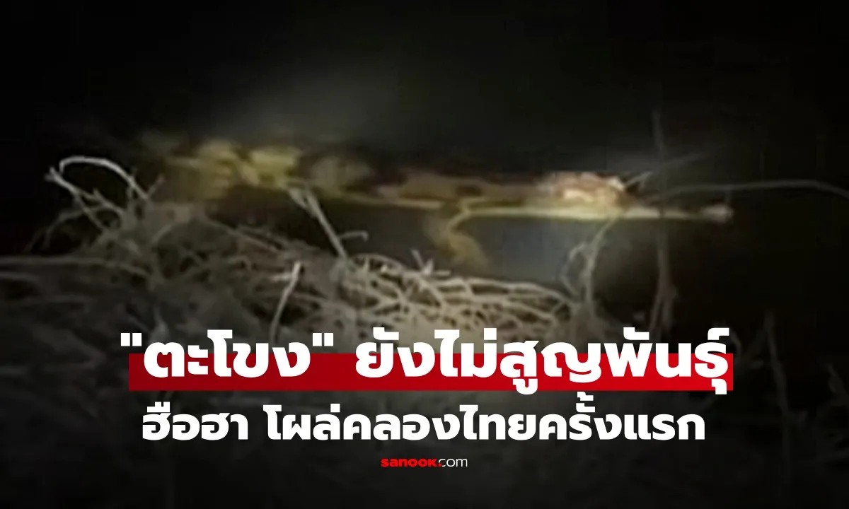 Post by Jirayu ศักดิ์ดา