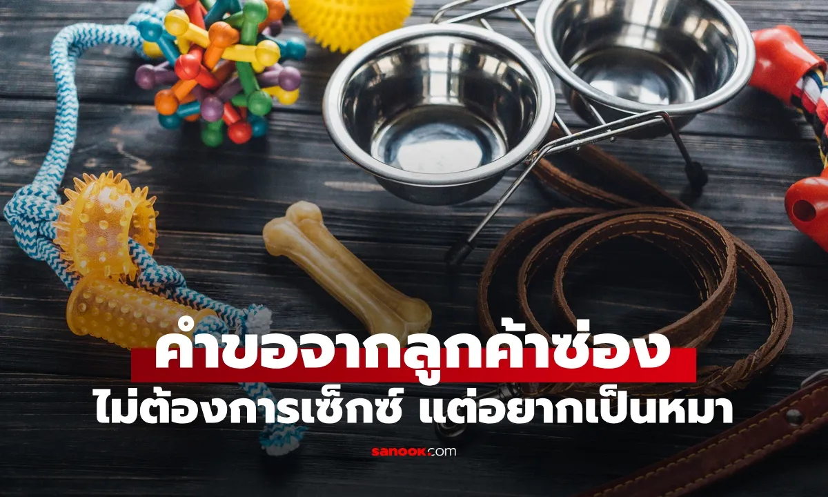 Post by pimol rakthai36