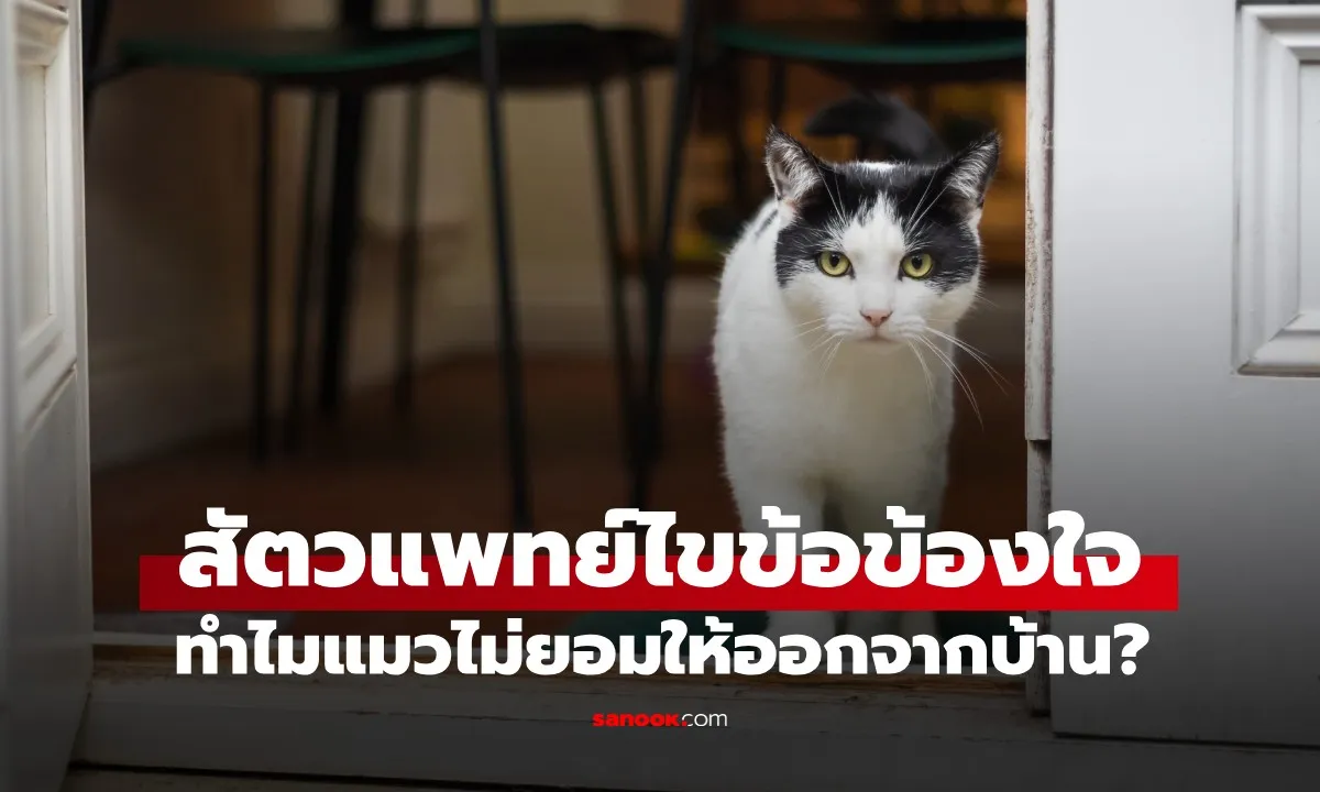 Post by Max อนุชา