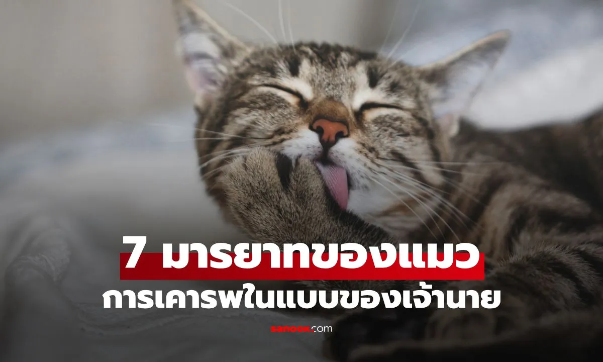 Post by ranee charoen23