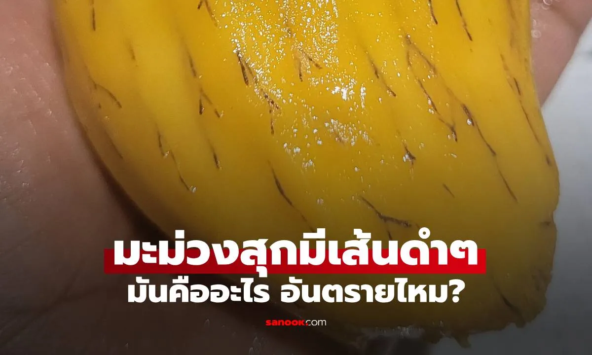 Post by Rat นนทนันท์