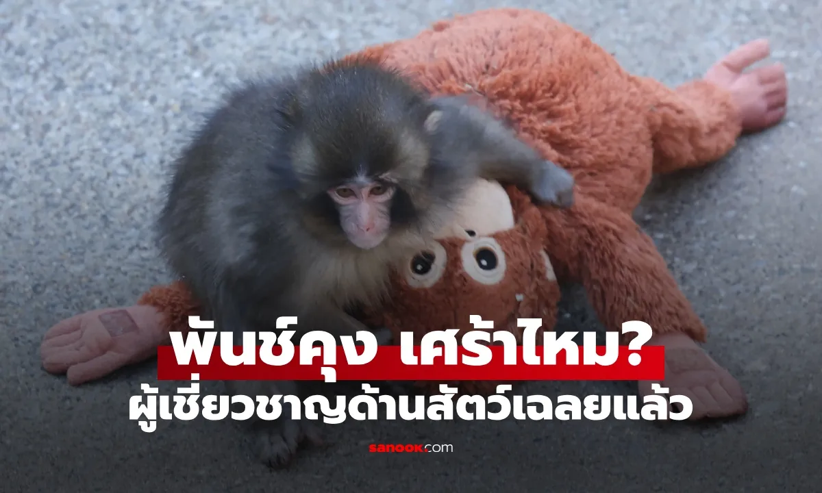 Post by Jirayu ศักดิ์ดา