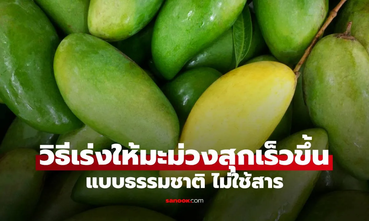 Post by rattana panyarat98