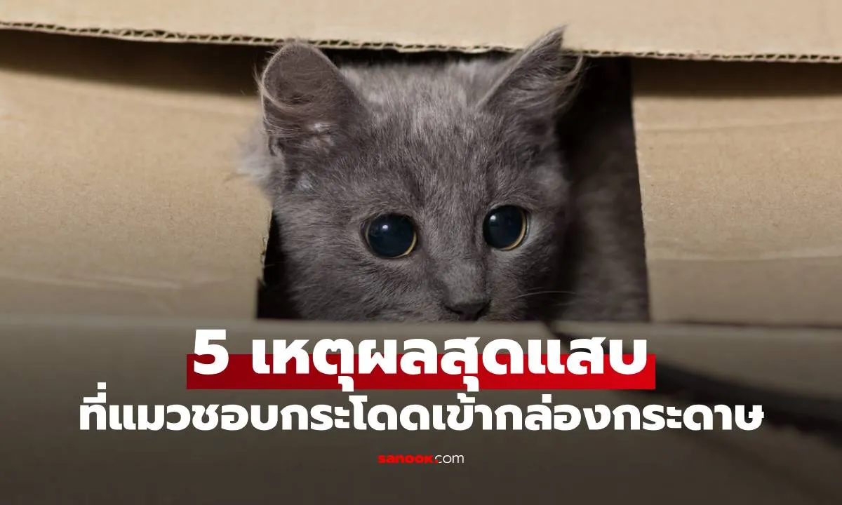 Post by sunisa meechai72