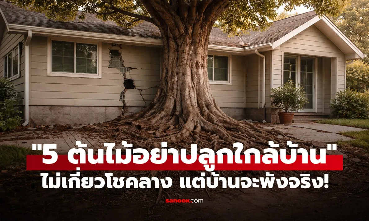 Post by wararat kaewmanee93