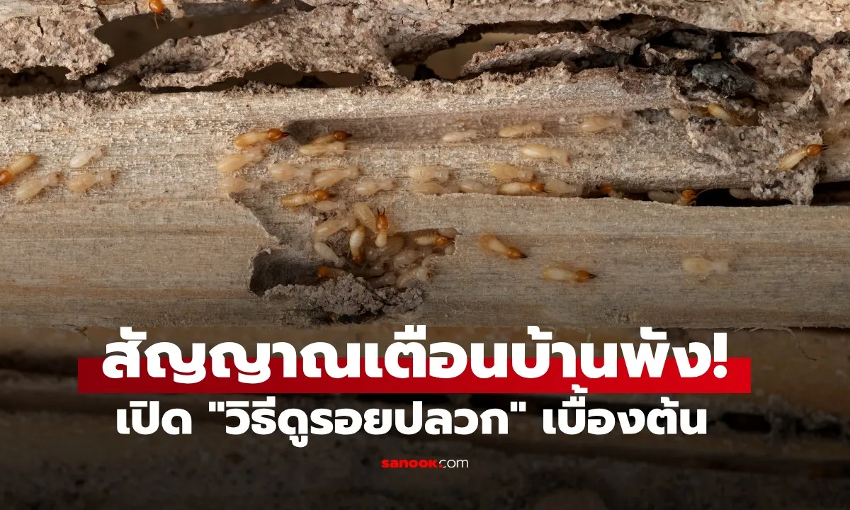 Post by wararat kaewmanee93