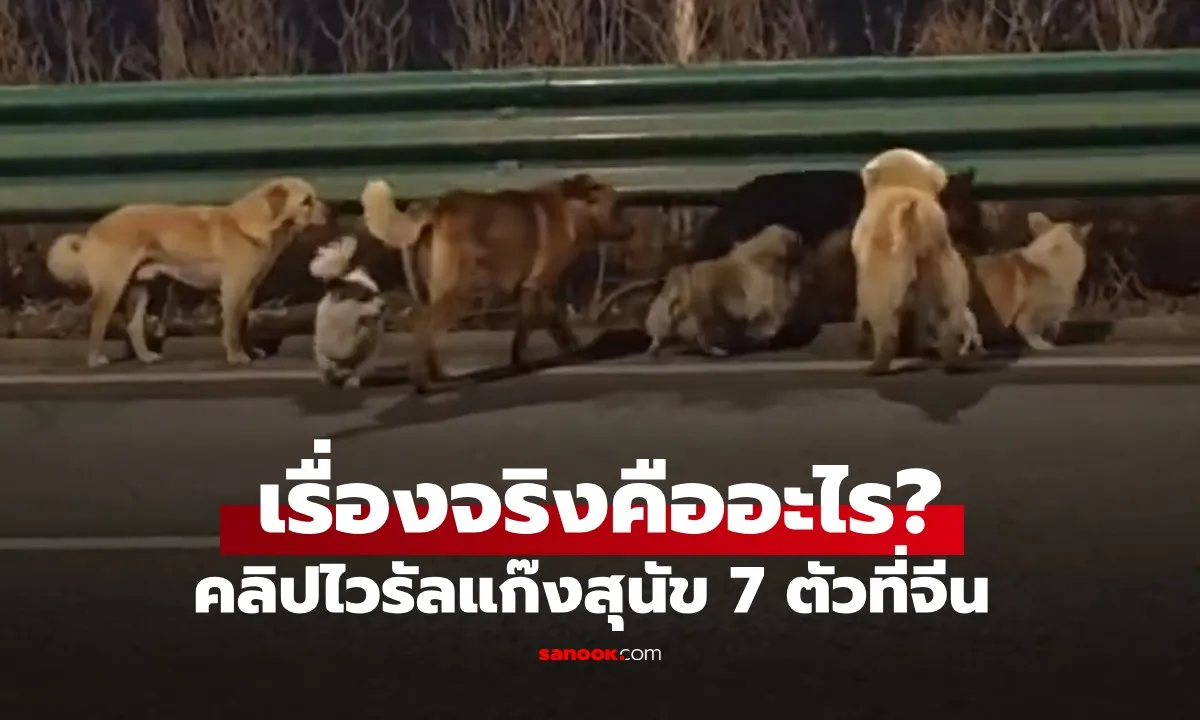 Post by Pete พีรพล