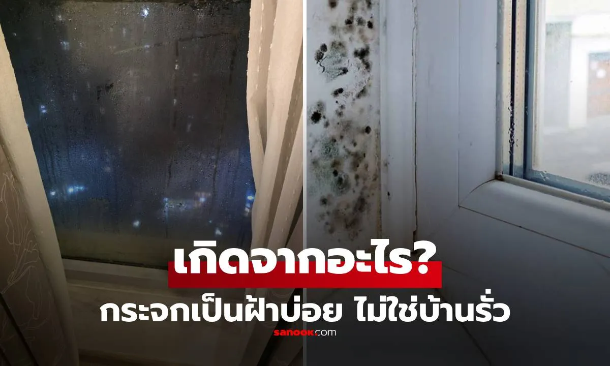 Post by Teerapat ปวีณ
