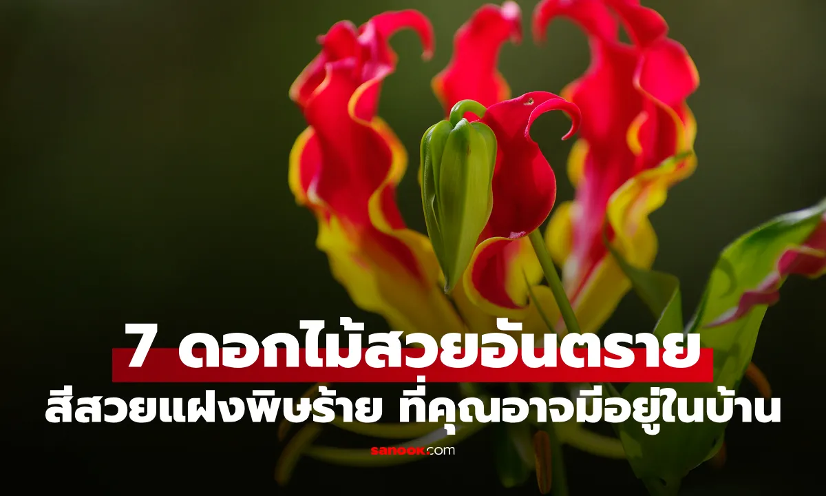 Post by davika jaidee93