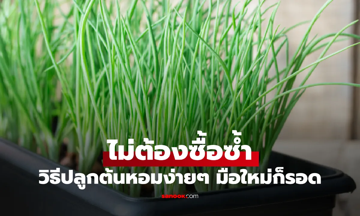 Post by kannika wongsuwan70