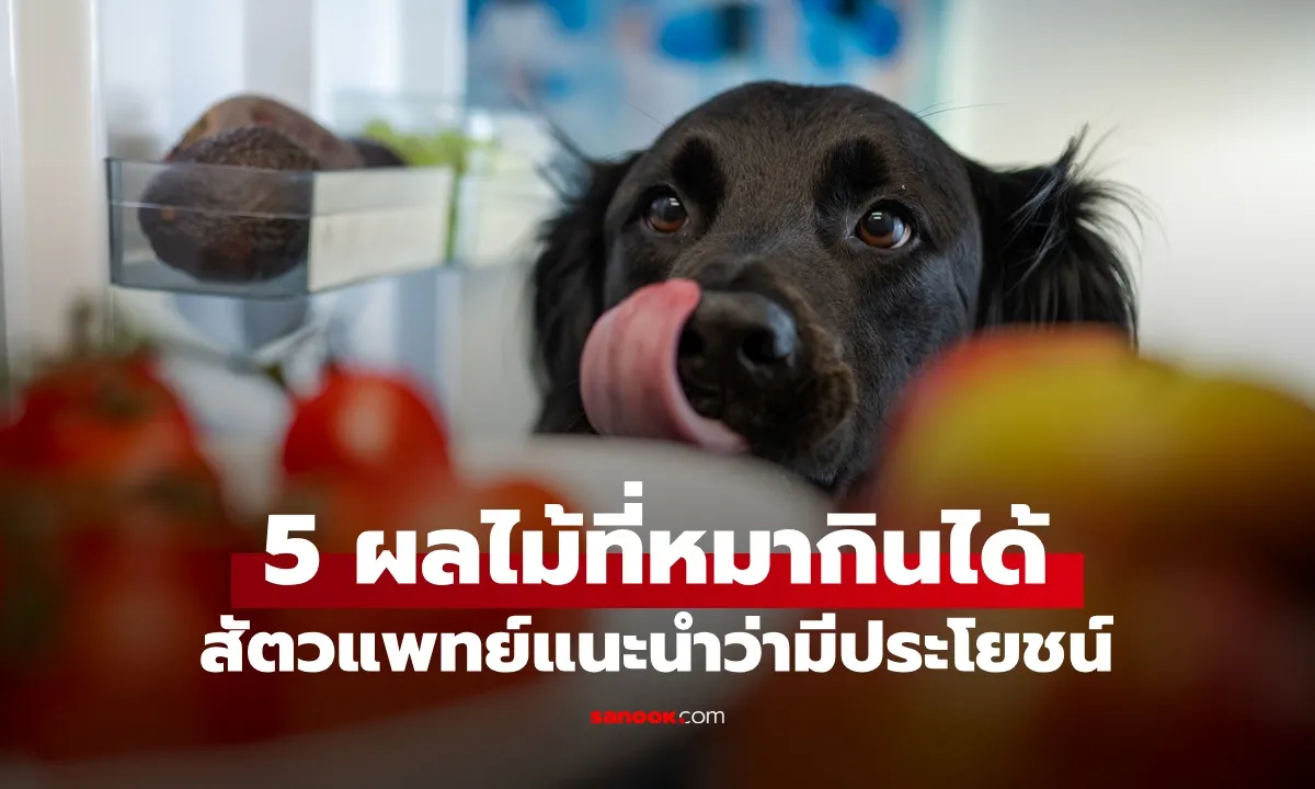 Post by nattaporn kongthai26