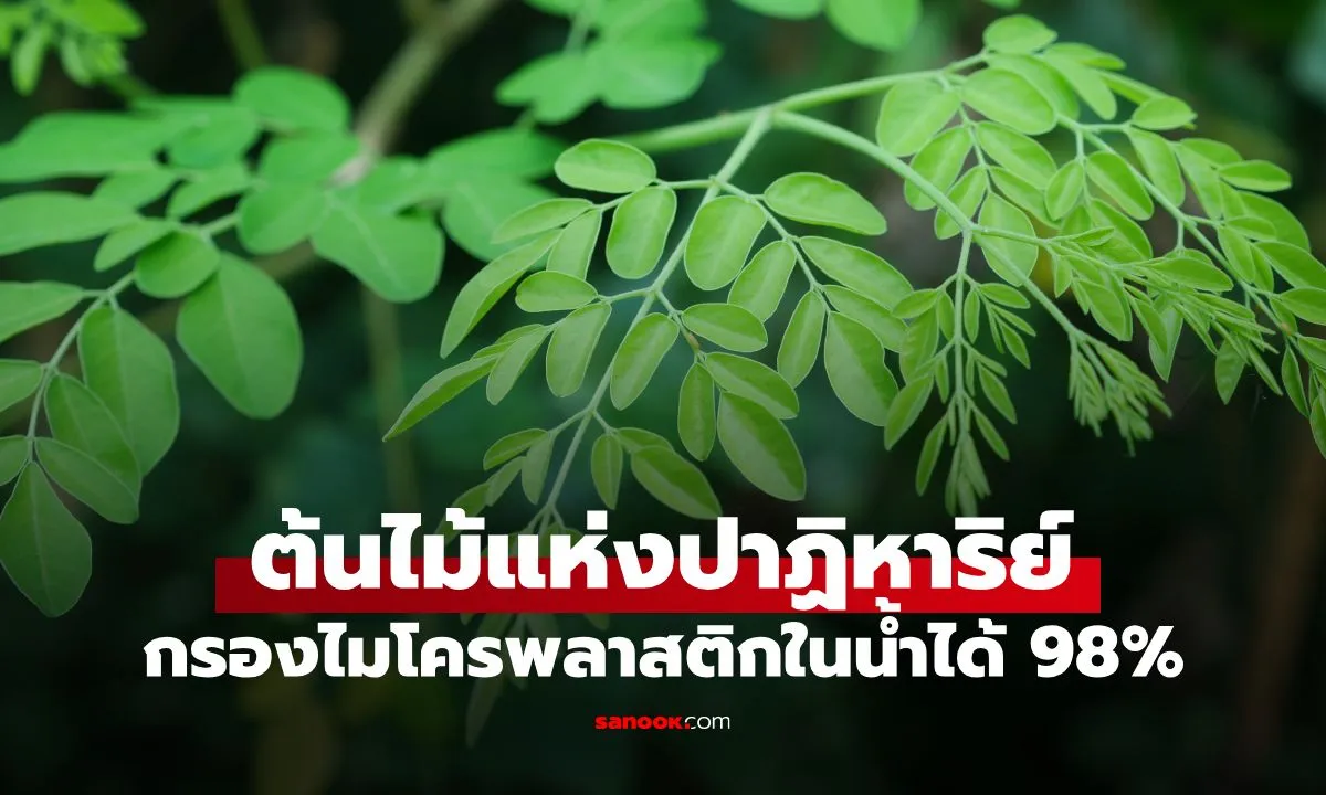 Post by jariya bunrat34