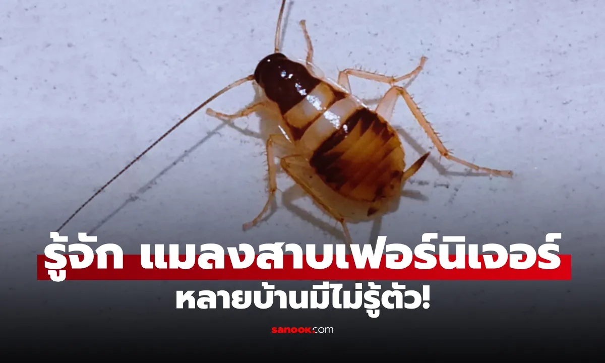 Post by nittaya panyarat28
