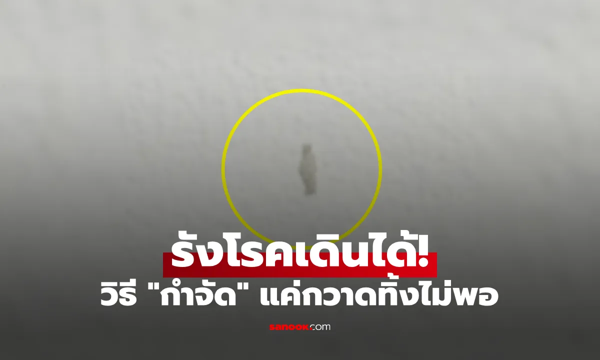 Post by wararat kaewmanee93