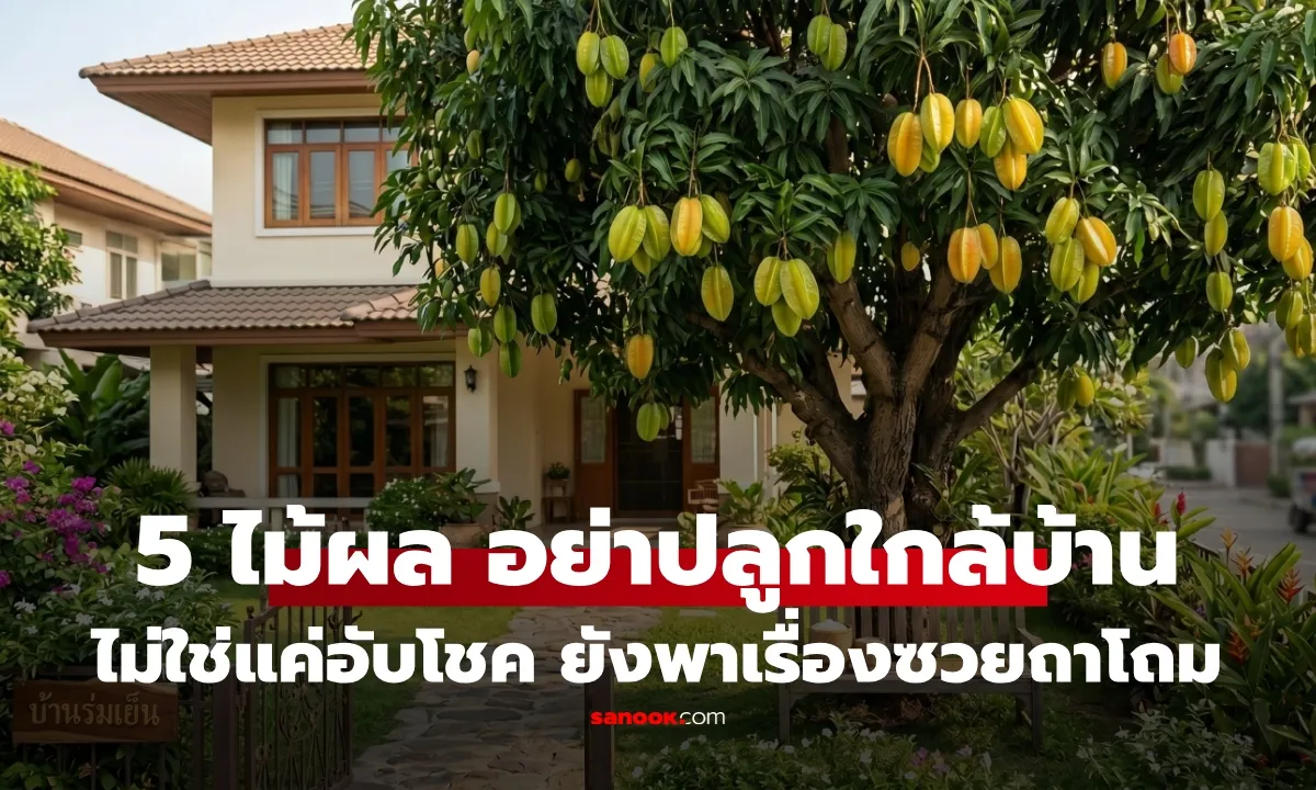 Post by sunisa jantra55