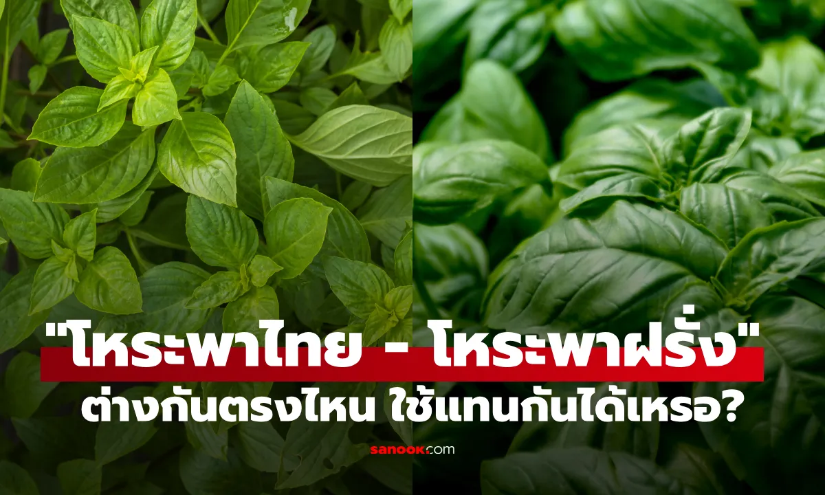 Post by davika jaidee93