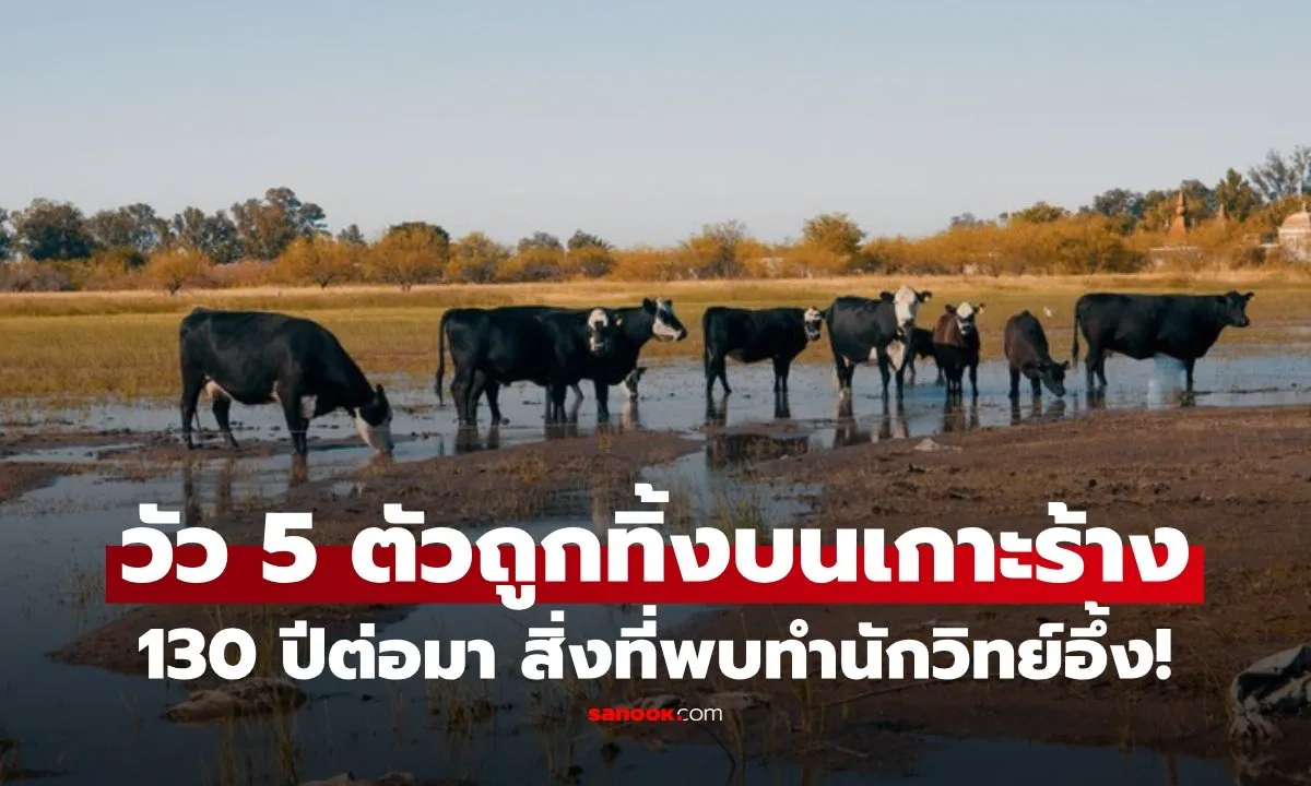 Post by kanokwan kaewmanee20