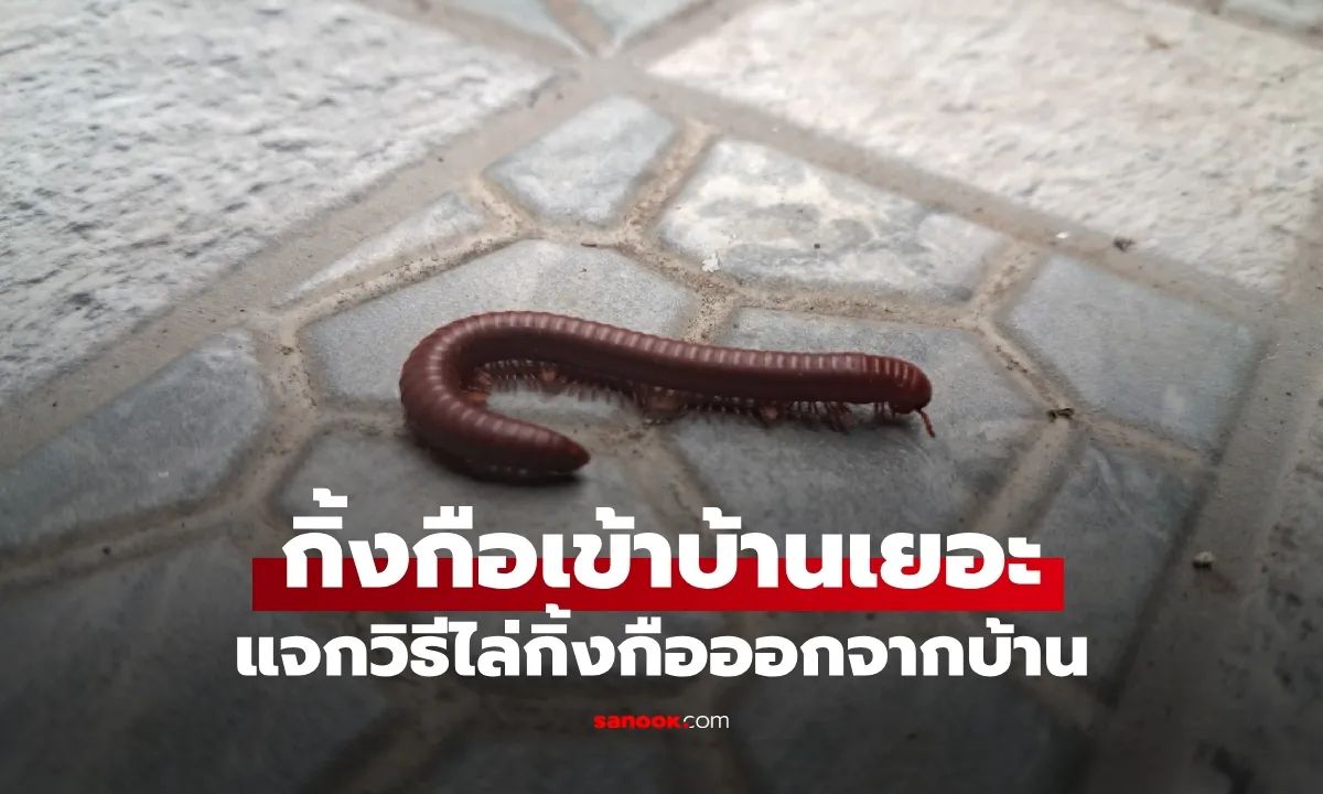 Post by nattaporncharoen22