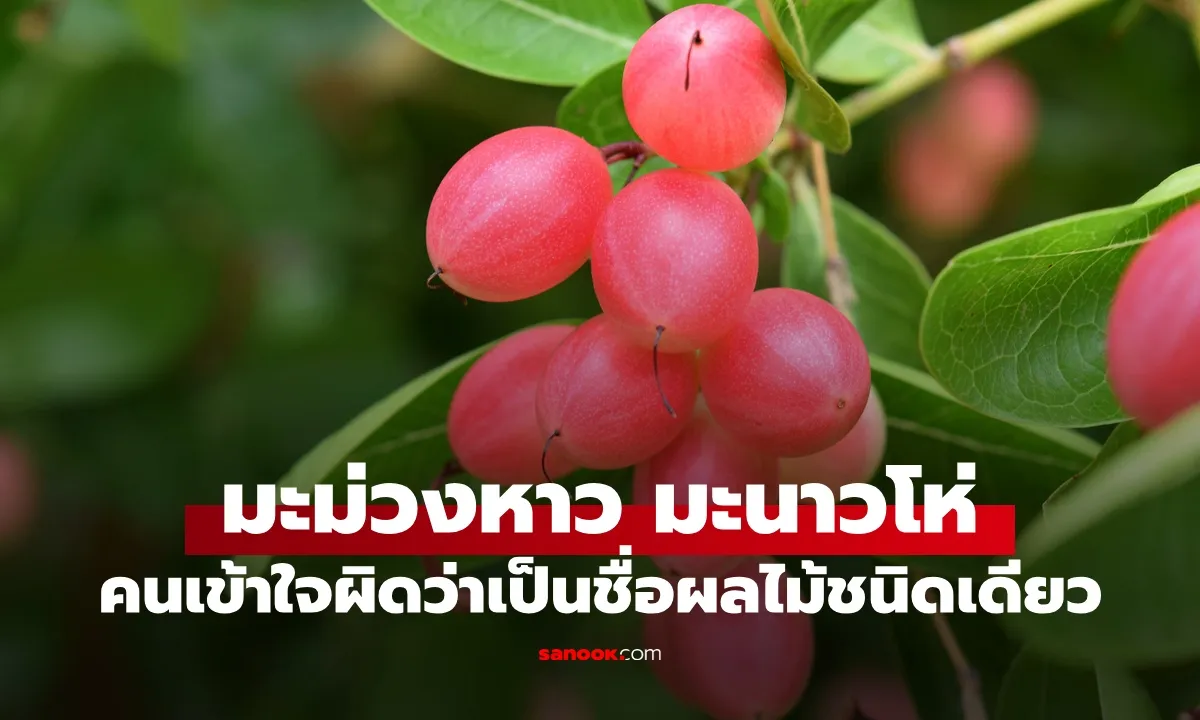 Post by napatsorn chaikul34