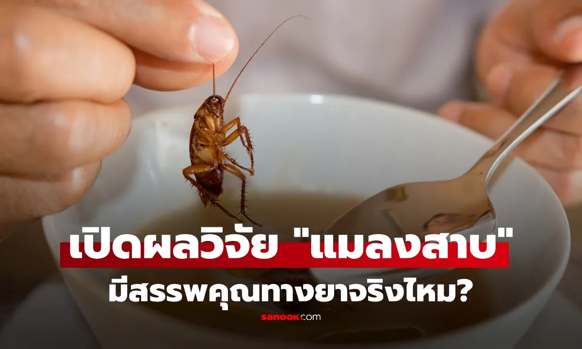 Post by suda saewang13