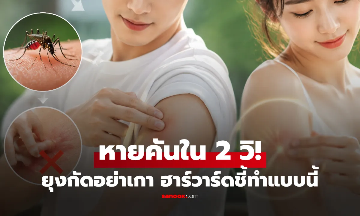 Post by Rat นนทนันท์
