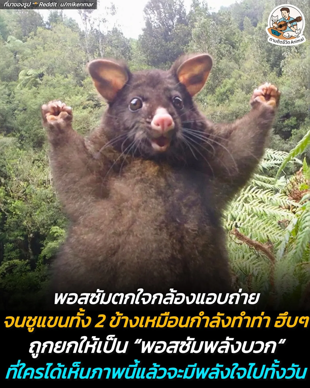 Post by wararat kaewmanee93